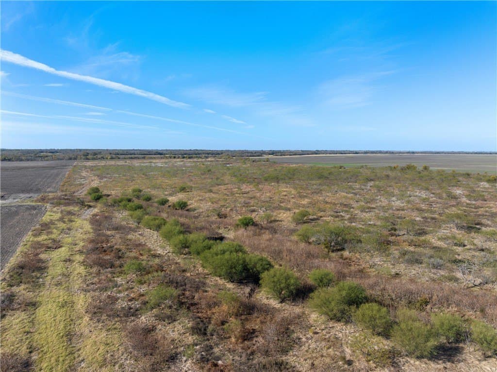 175.61 acres in Milam County - photo 3