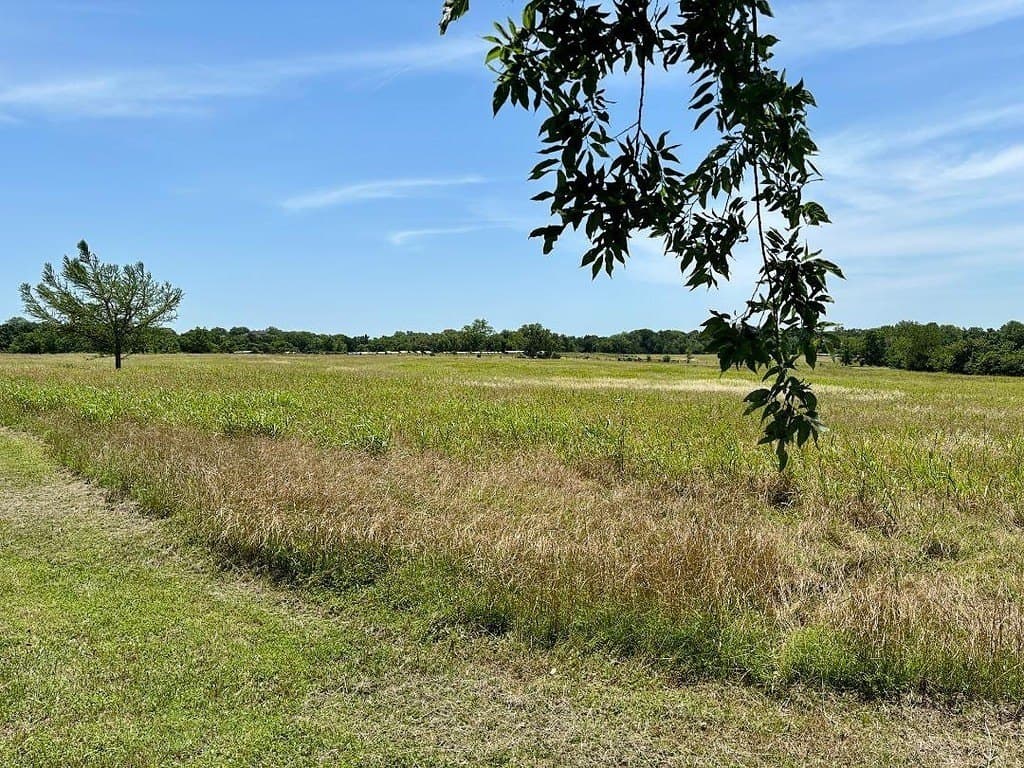 30 acres in Washington County - photo 15