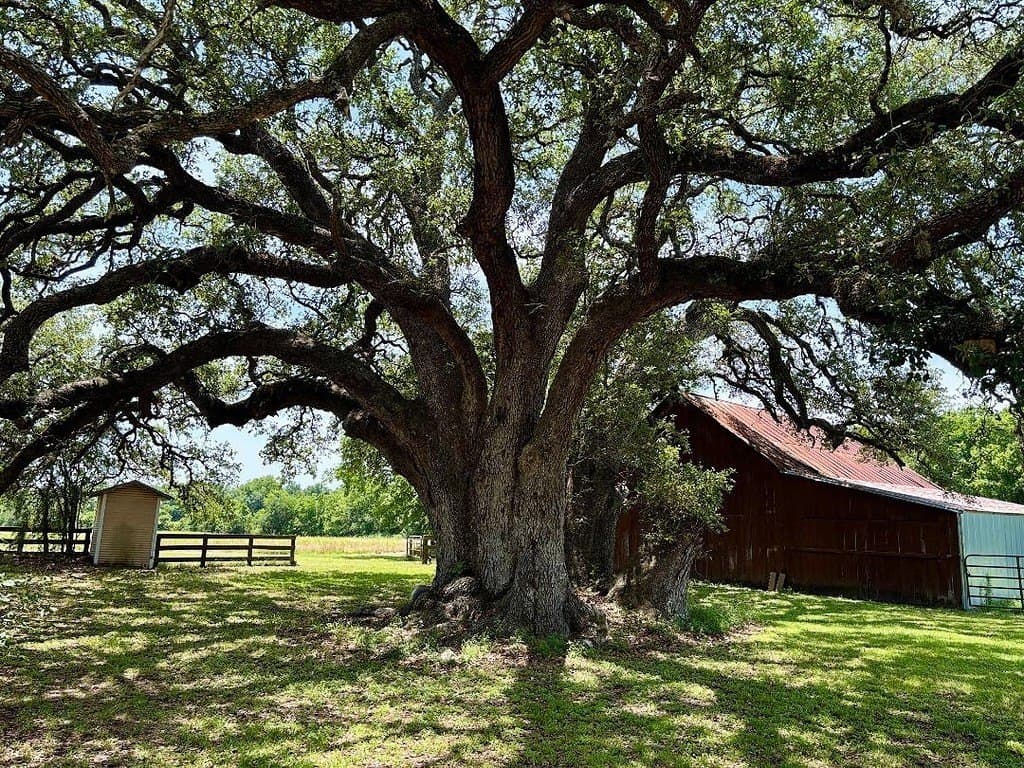 30 acres in Washington County