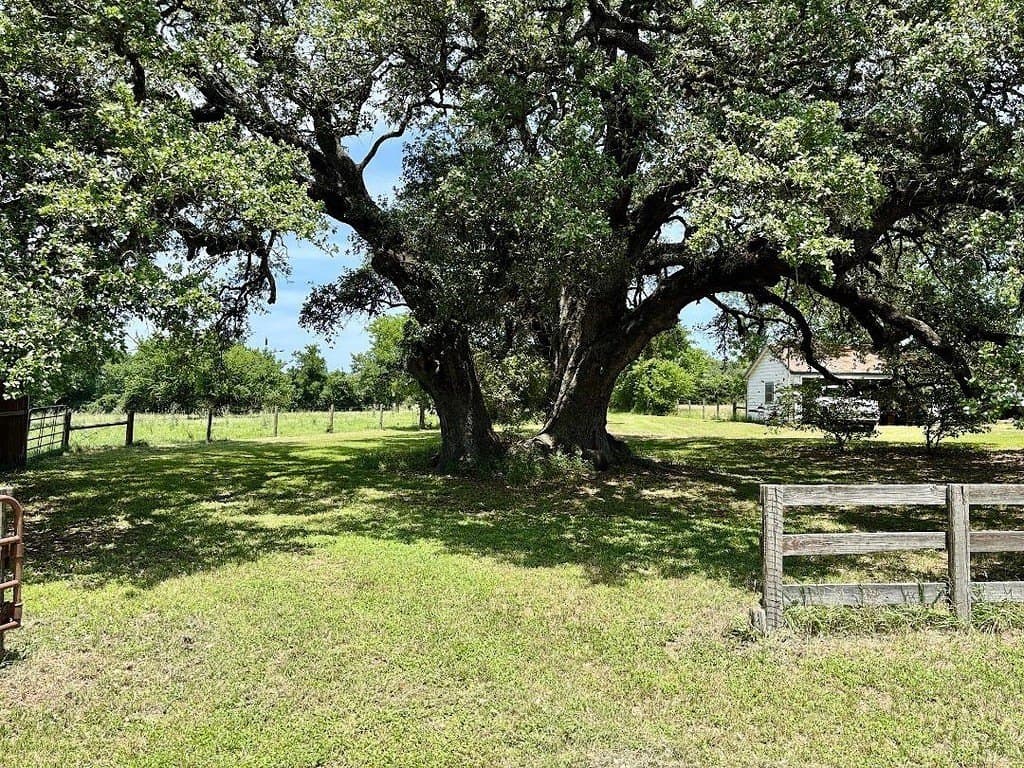 30 acres in Washington County - photo 14