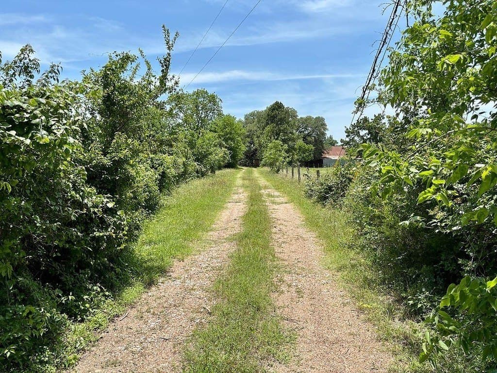 30 acres in Washington County - photo 11