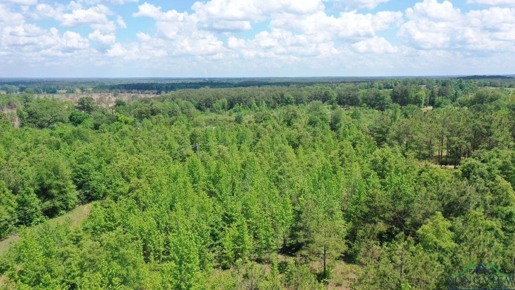 8.24 acres in Cass County gallery image 4