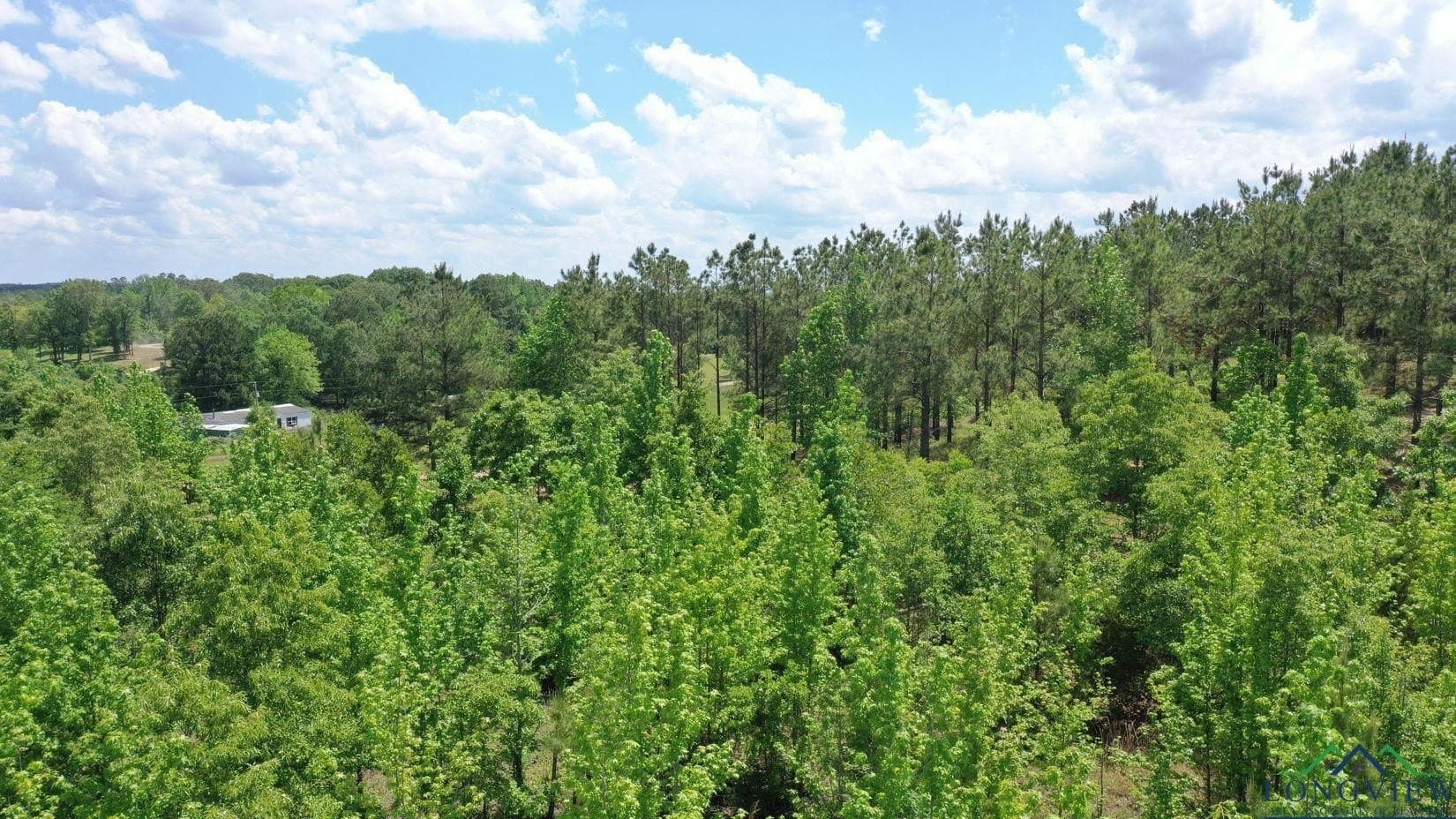 8.24 acres in Cass County gallery image 3