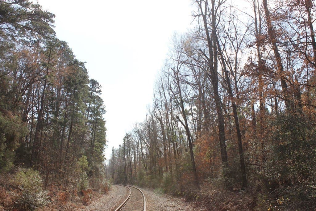 118.1 acres in Texas County gallery image 2