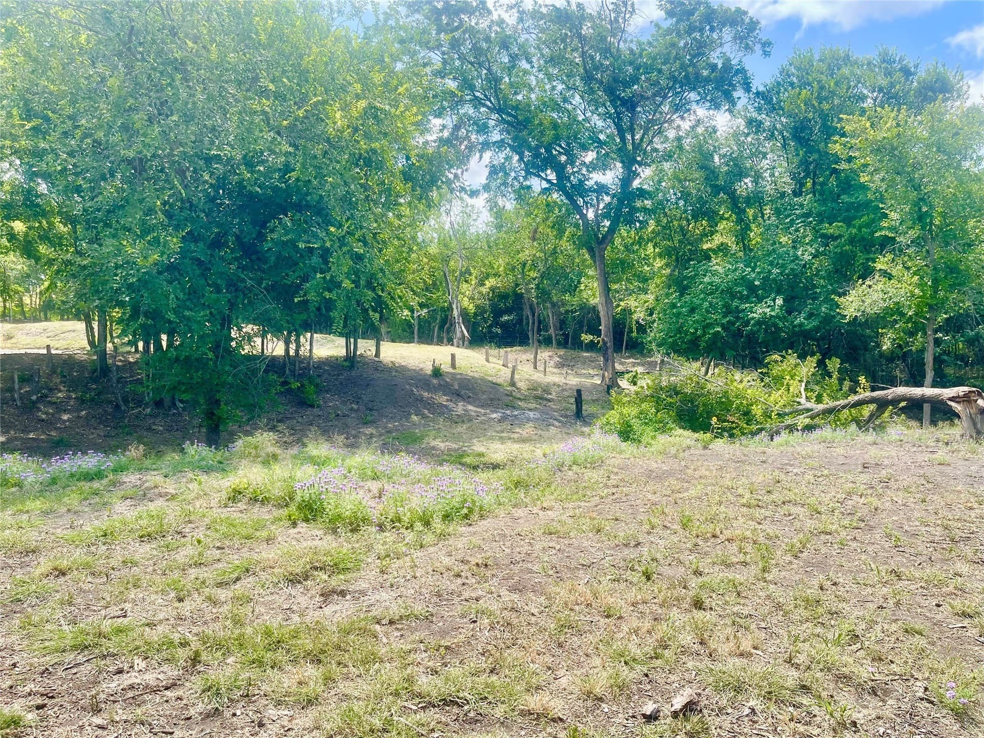 3.17 acres in Hill County - photo 11
