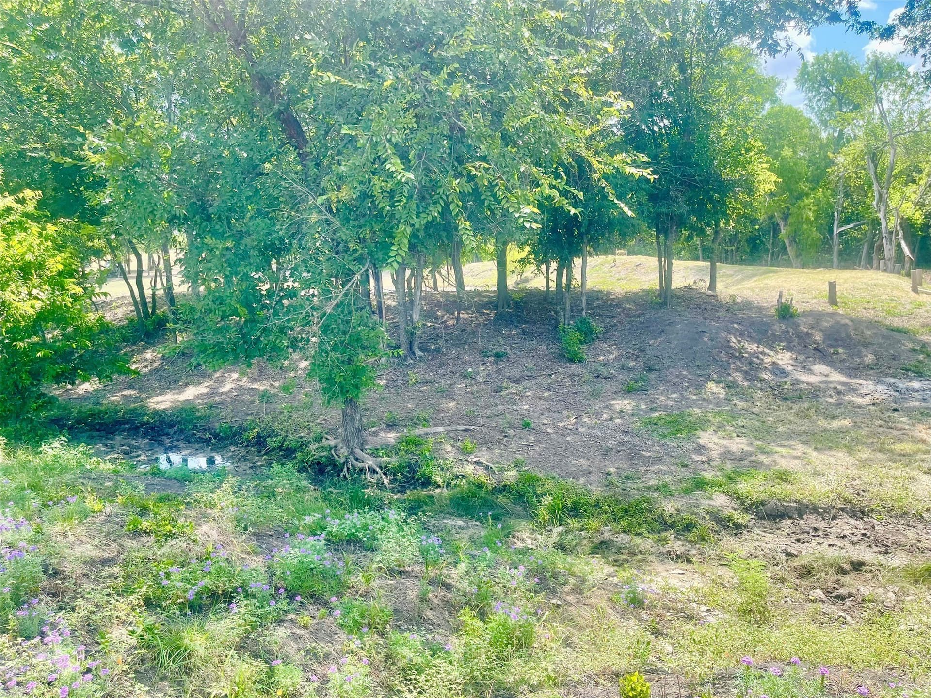 3.17 acres in Hill County - photo 16