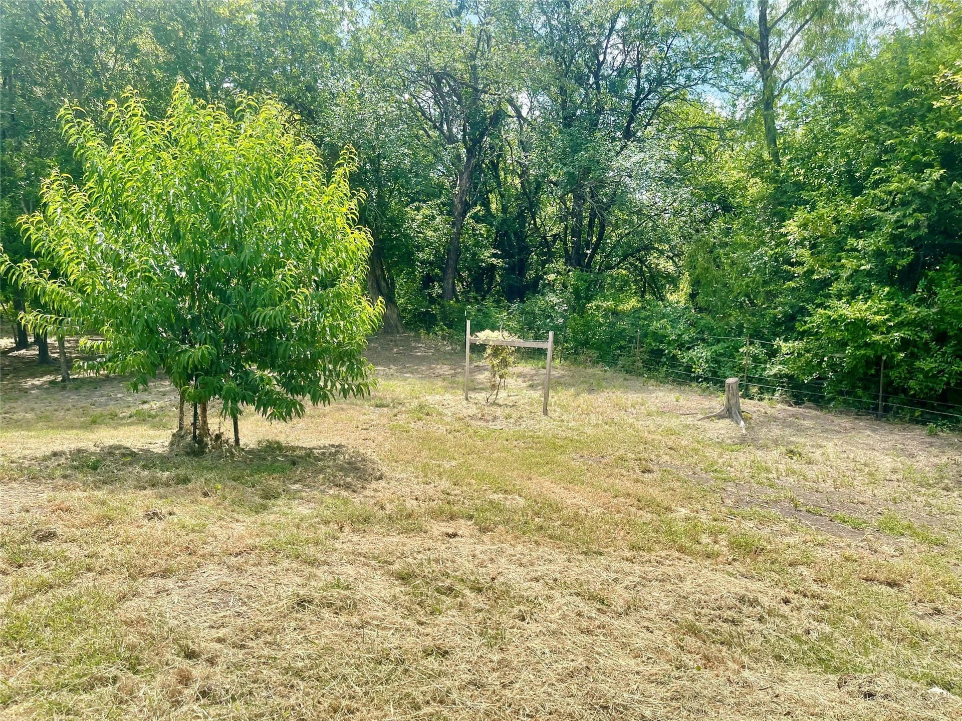 3.17 acres in Hill County - photo 14