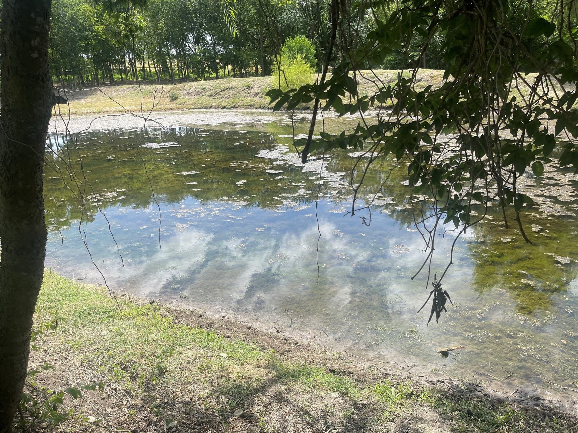 3.17 acres in Hill County - photo 7