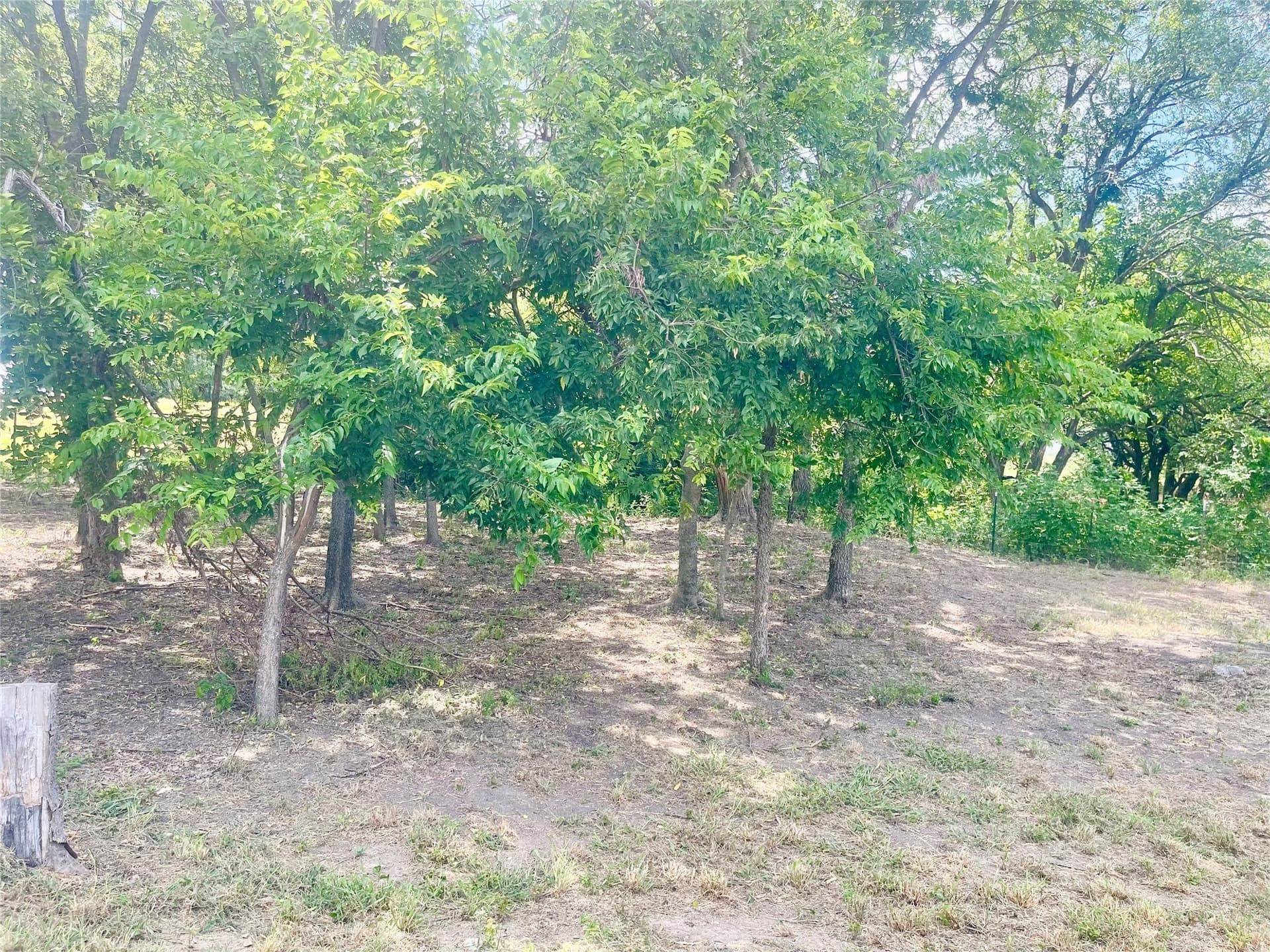 3.17 acres in Hill County - photo 8