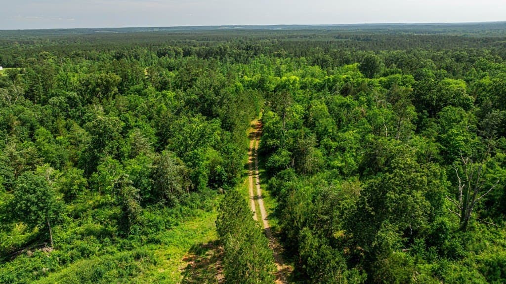 7.66 acres in Texas County - photo 11