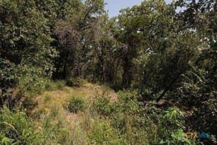 1.34 acres in Bastrop County featured view