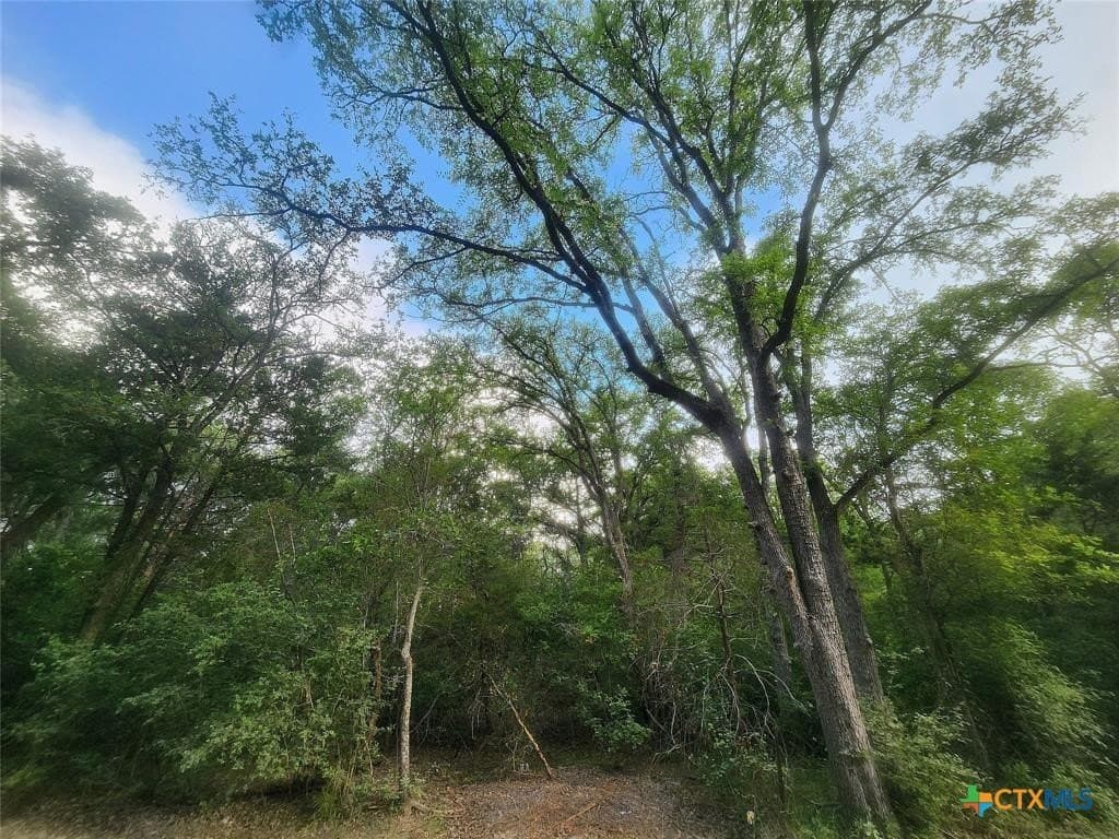 1.34 acres in Bastrop County gallery image 4