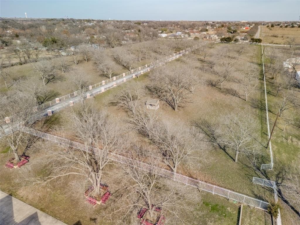 20 acres in Collin County gallery image 2