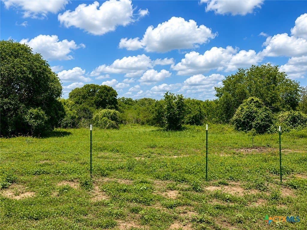 4.9 acres in DeWitt County gallery image 3