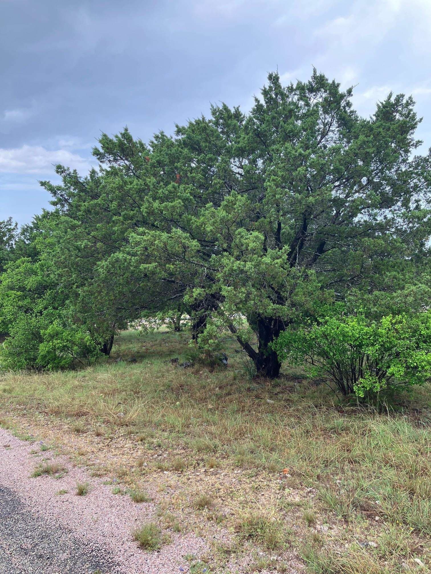 0.28 acres in Llano County gallery image 3