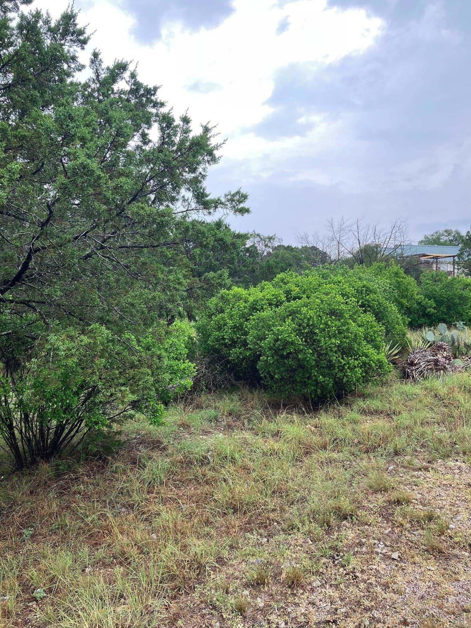 0.28 acres in Llano County gallery image 2