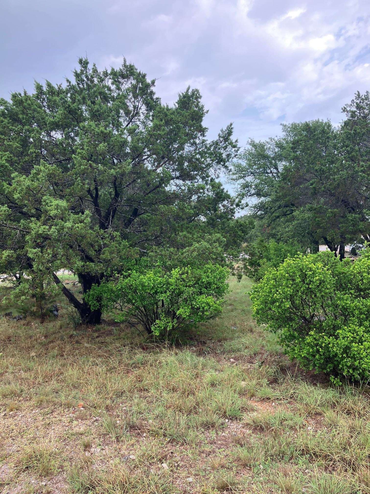 0.28 acres in Llano County gallery image 4