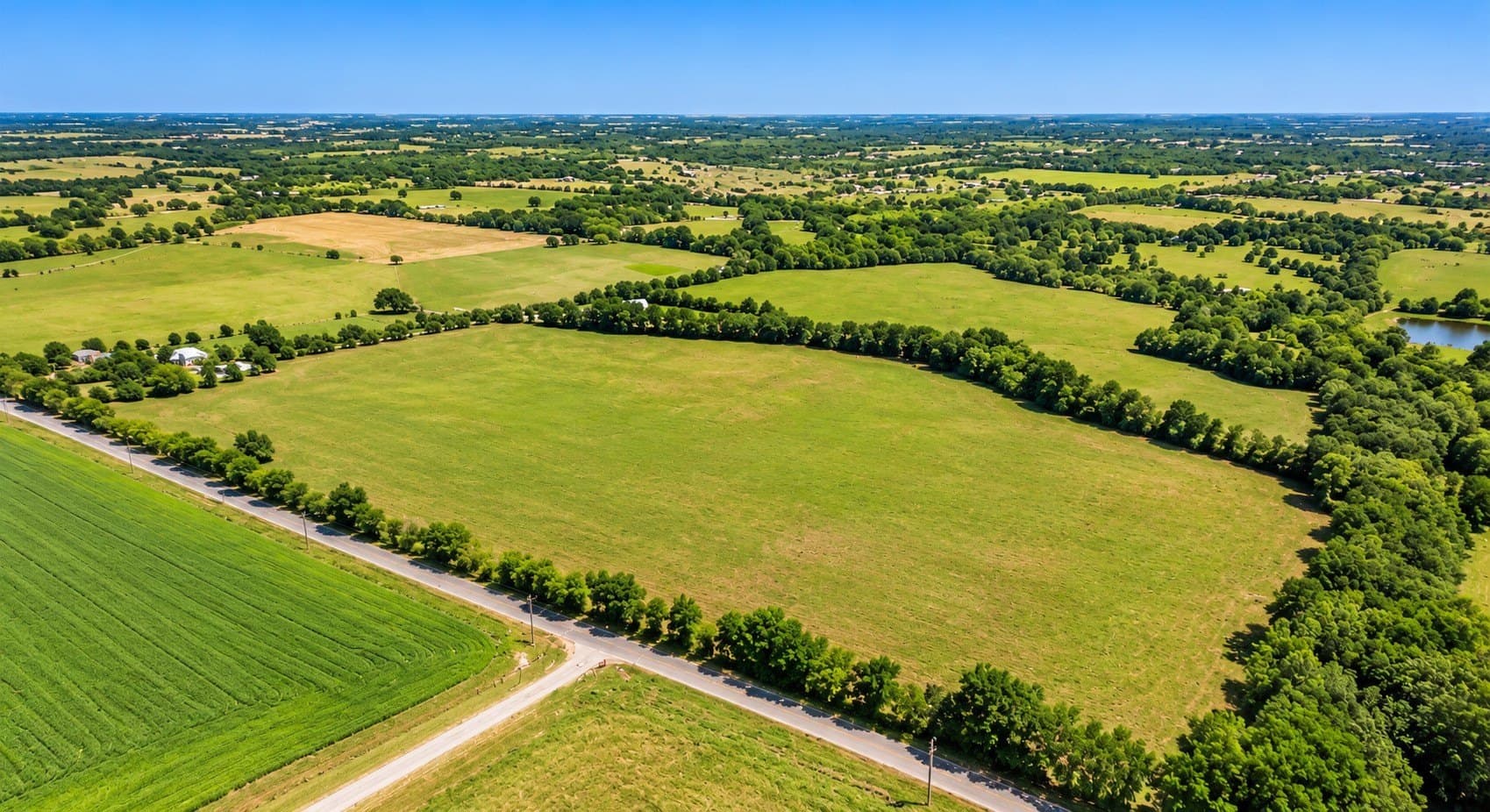 98.18 acres in Collin County - photo 2