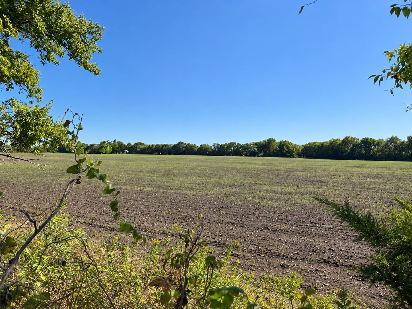 98.18 acres in Collin County - photo 11