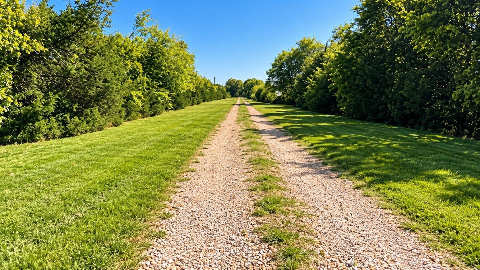98.18 acres in Collin County - photo 3