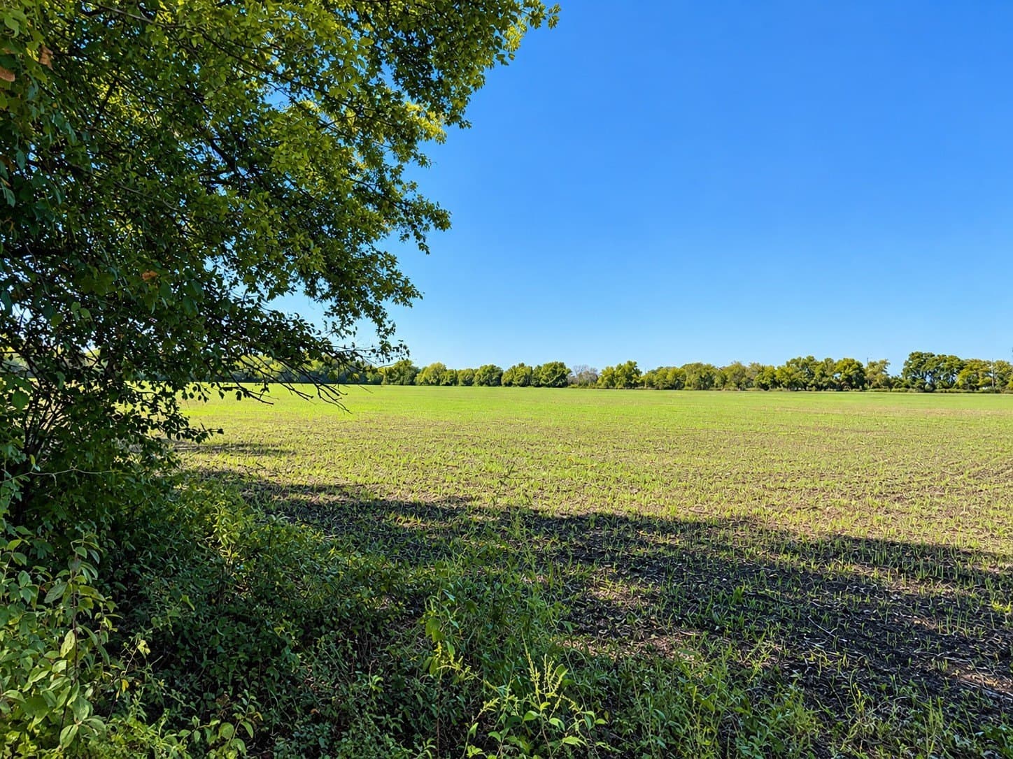 98.18 acres in Collin County - photo 12