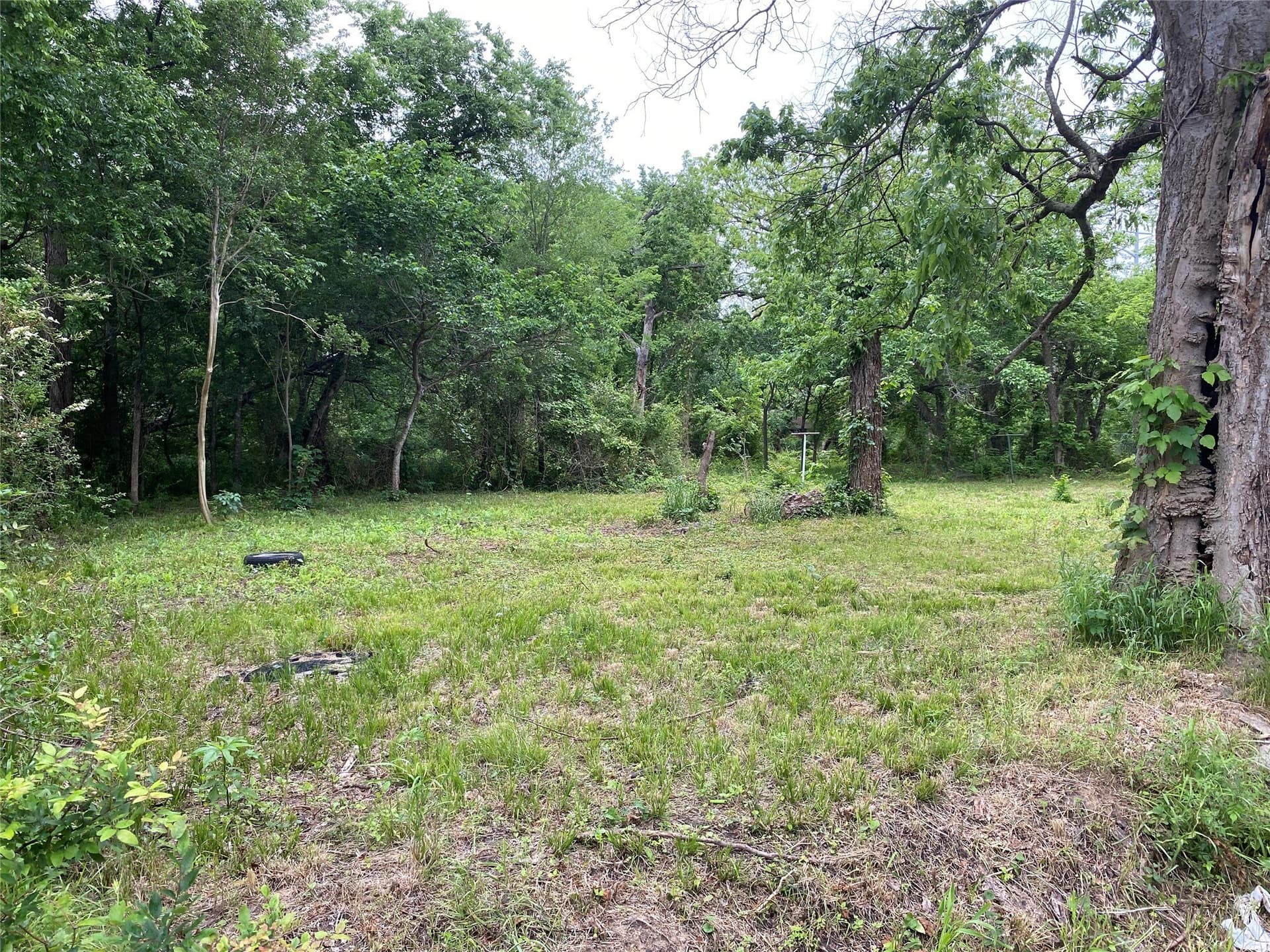 0.23 acres in Fannin County - photo 7
