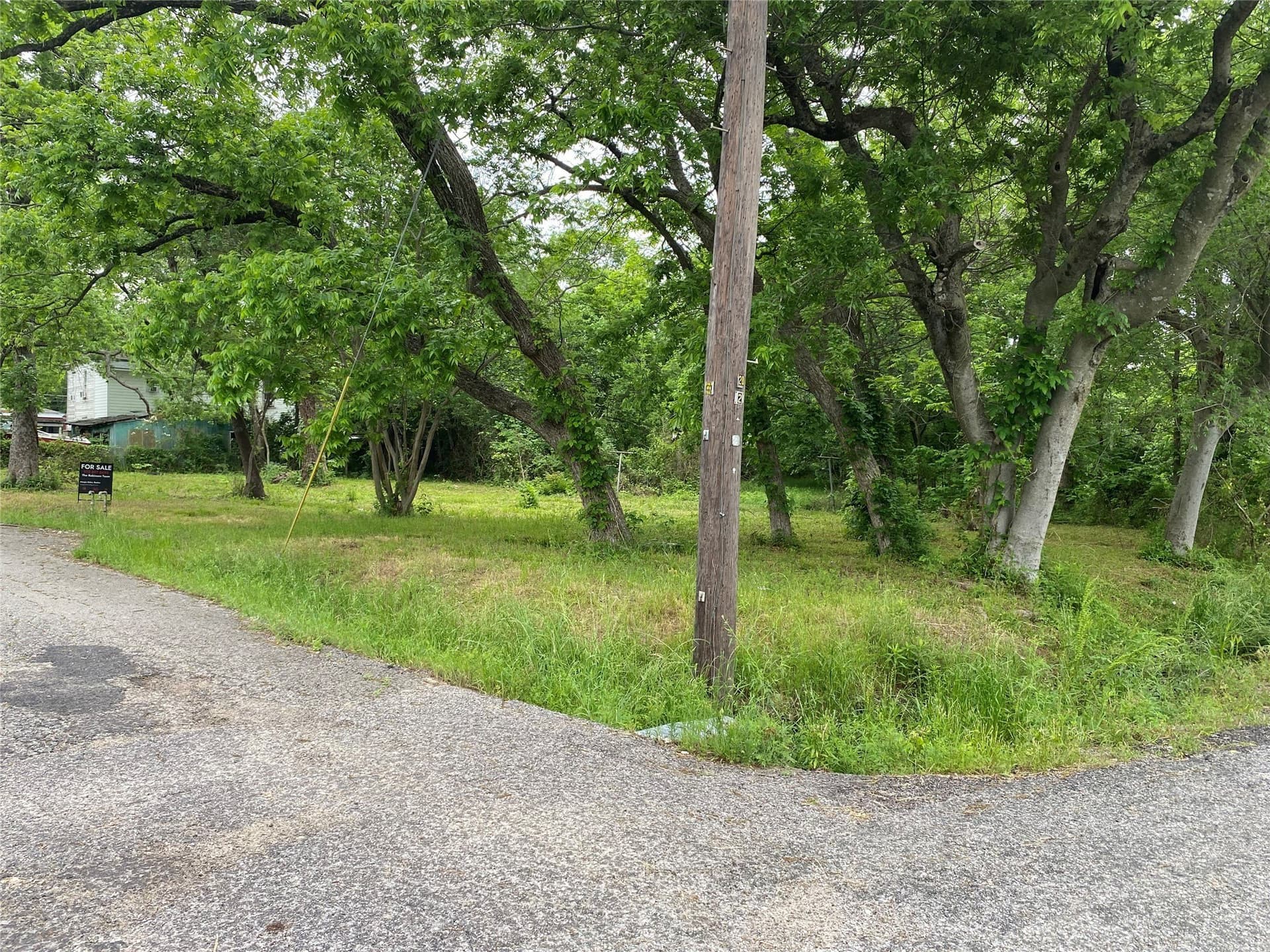 0.23 acres in Fannin County gallery image 4