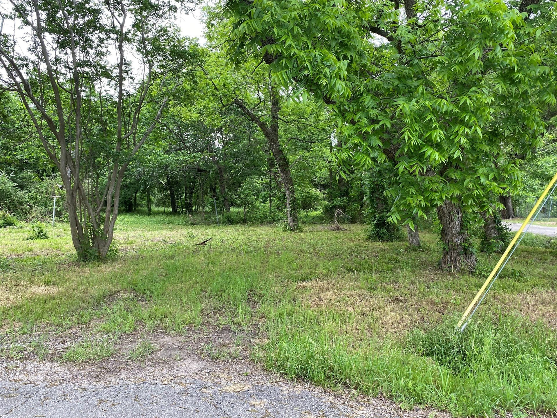 0.23 acres in Fannin County gallery image 3