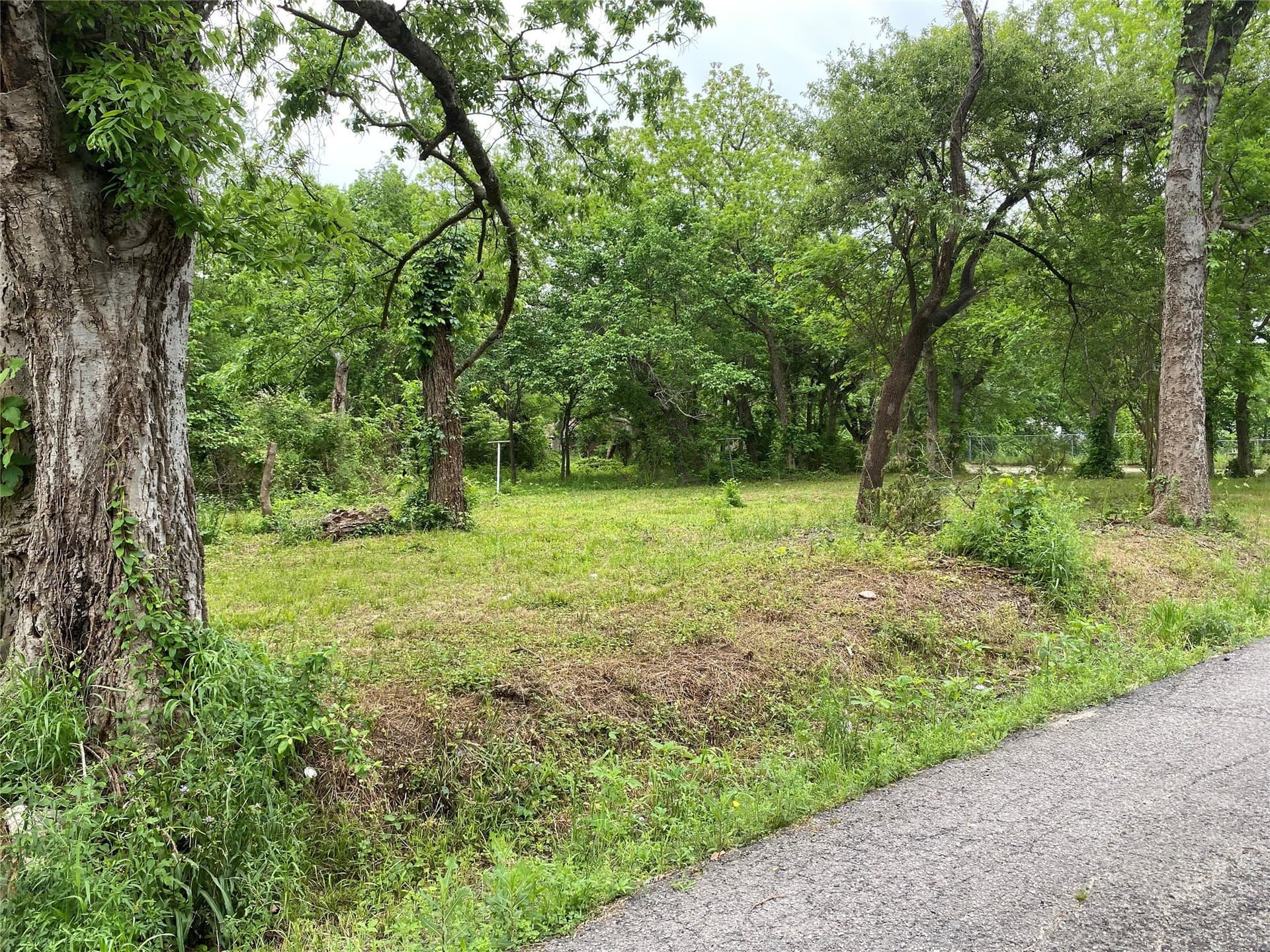 0.23 acres in Fannin County - photo 6
