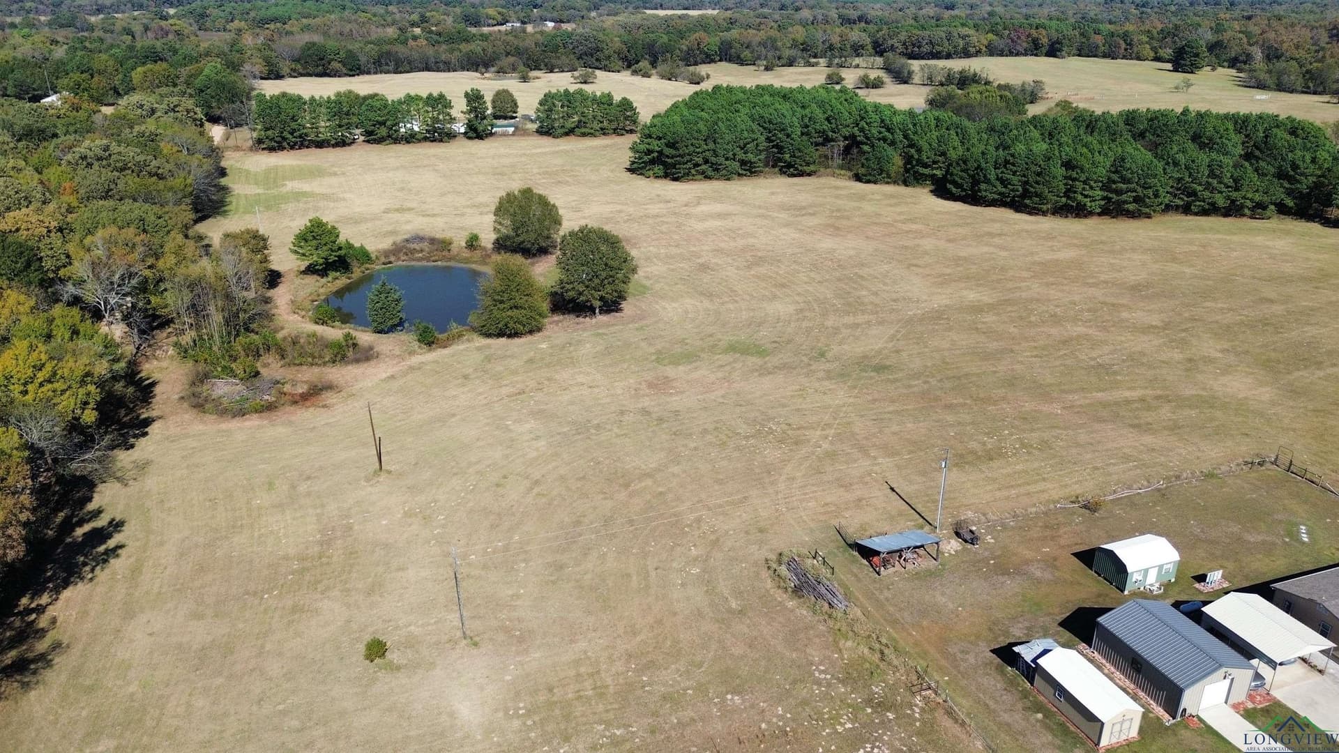 3.68 acres in Titus County gallery image 4