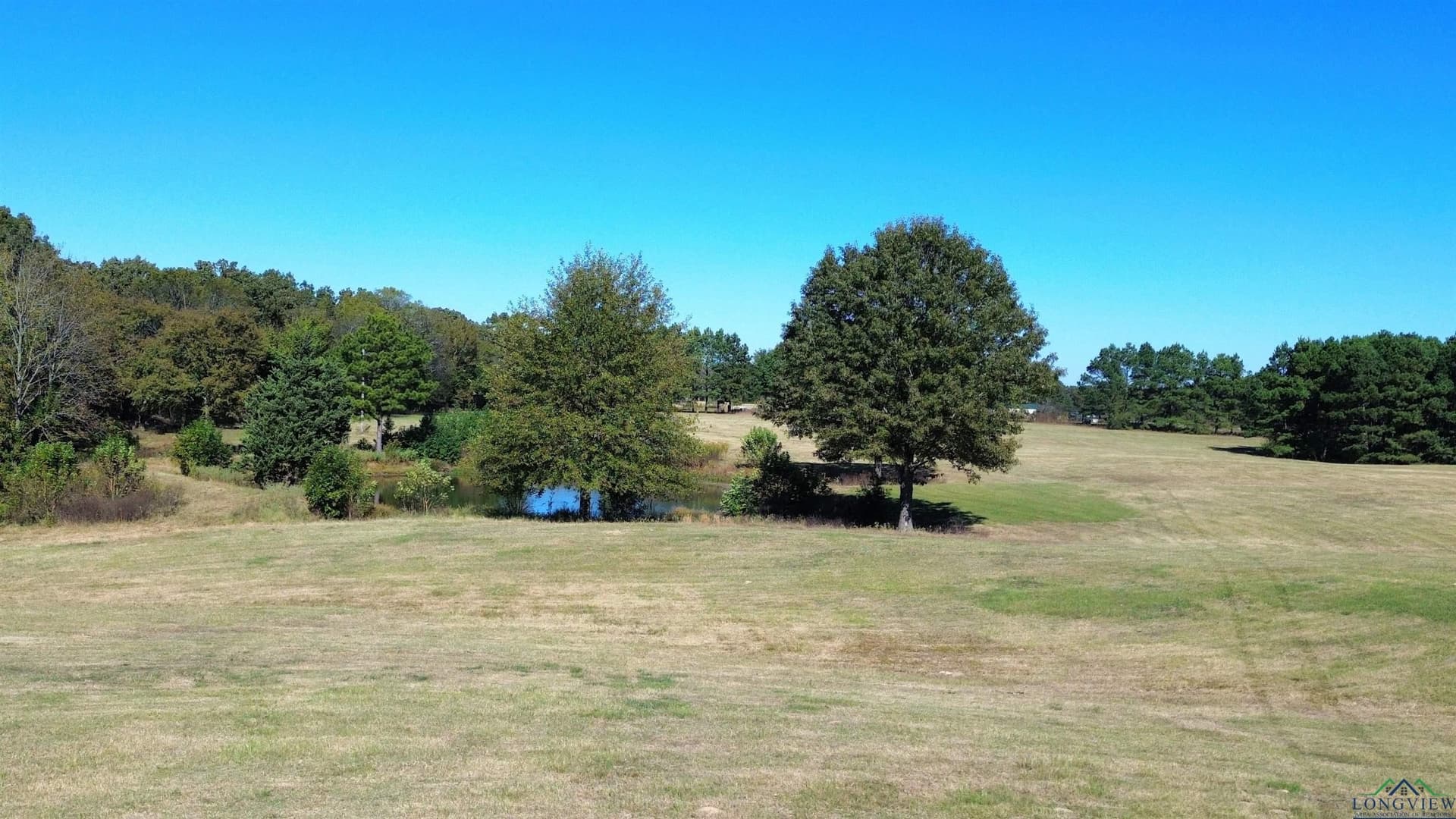 3.68 acres in Titus County gallery image 2