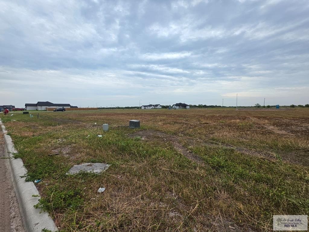 0.2 acres in HIDALGO County - photo 10