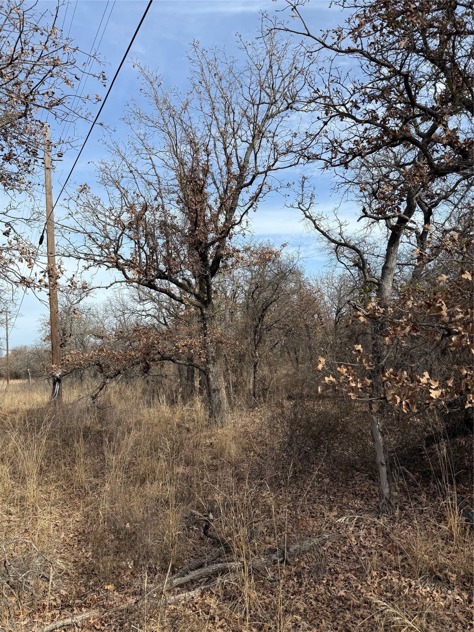 0.25 acres in Wise County - photo 7