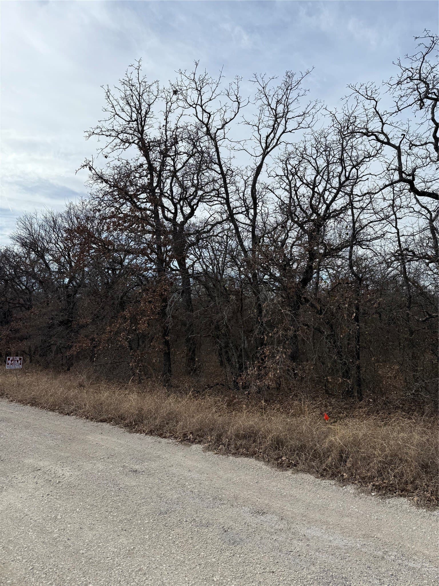 0.25 acres in Wise County - photo 4