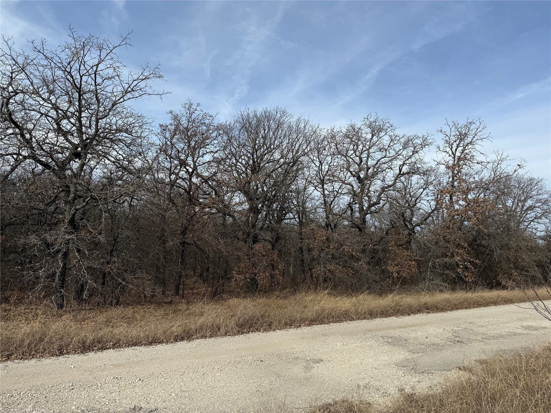 0.25 acres in Wise County - photo 2