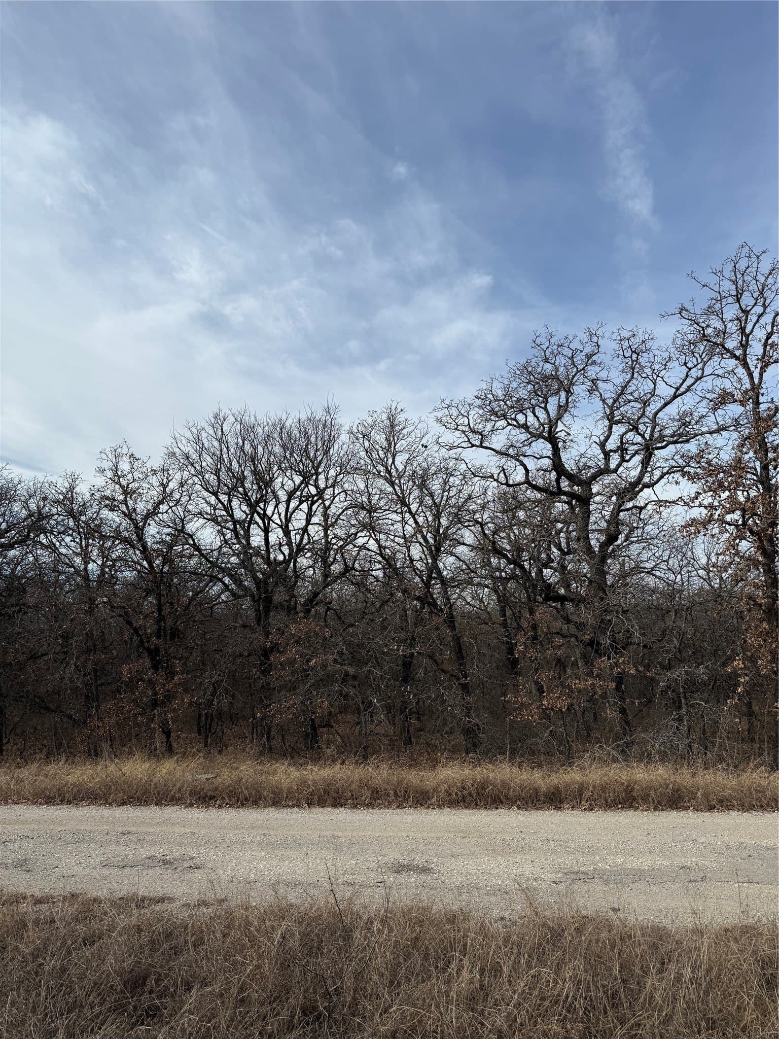 0.25 acres in Wise County - photo 6