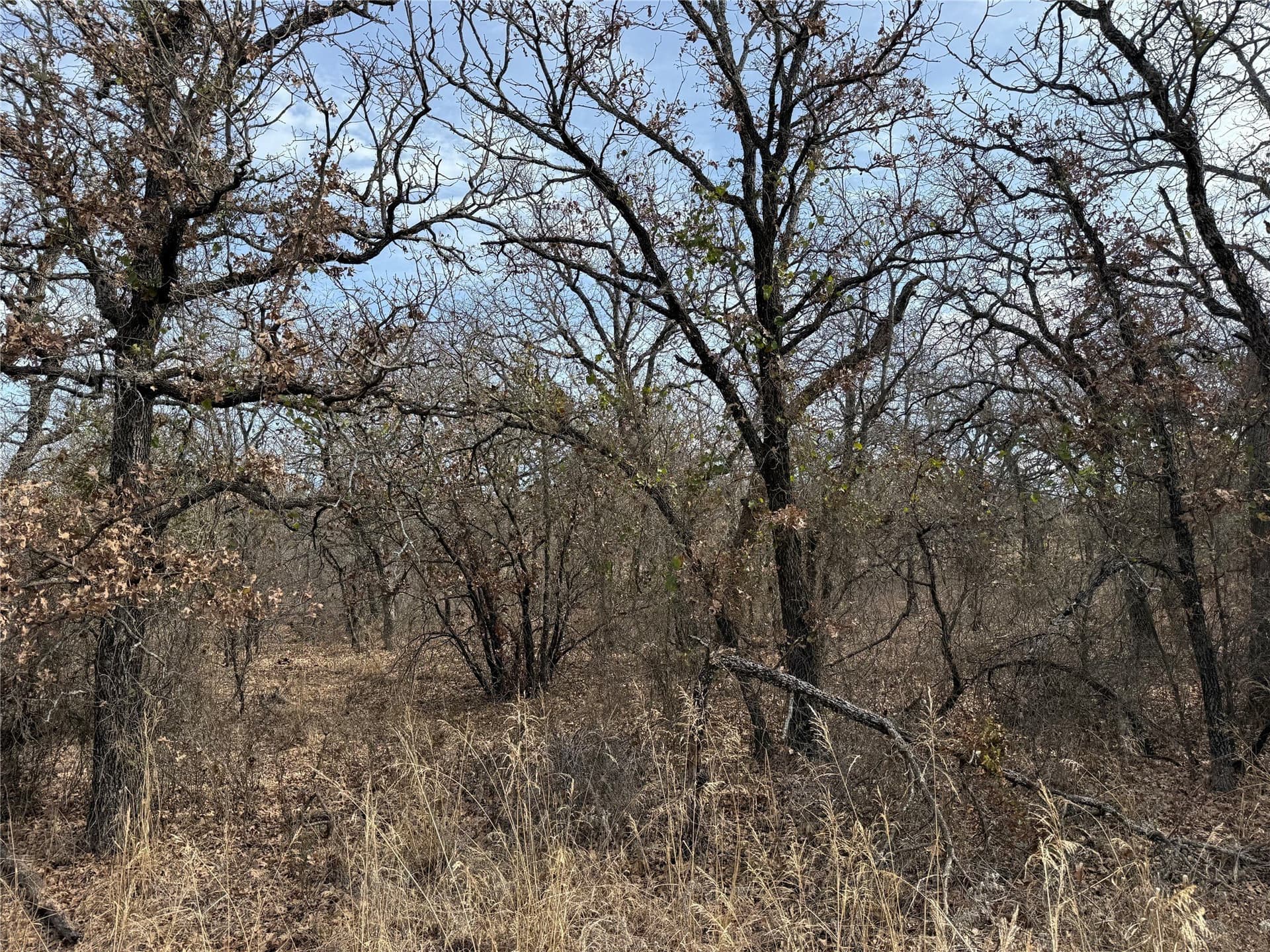 0.25 acres in Wise County - photo 5