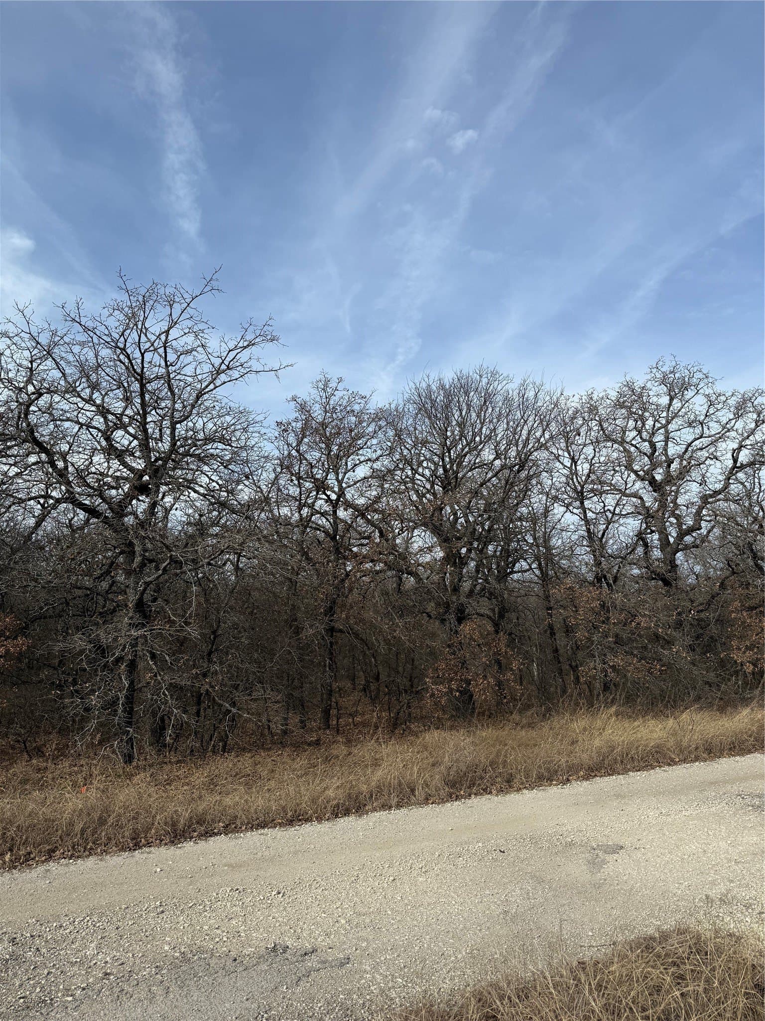 0.25 acres in Wise County - photo 3