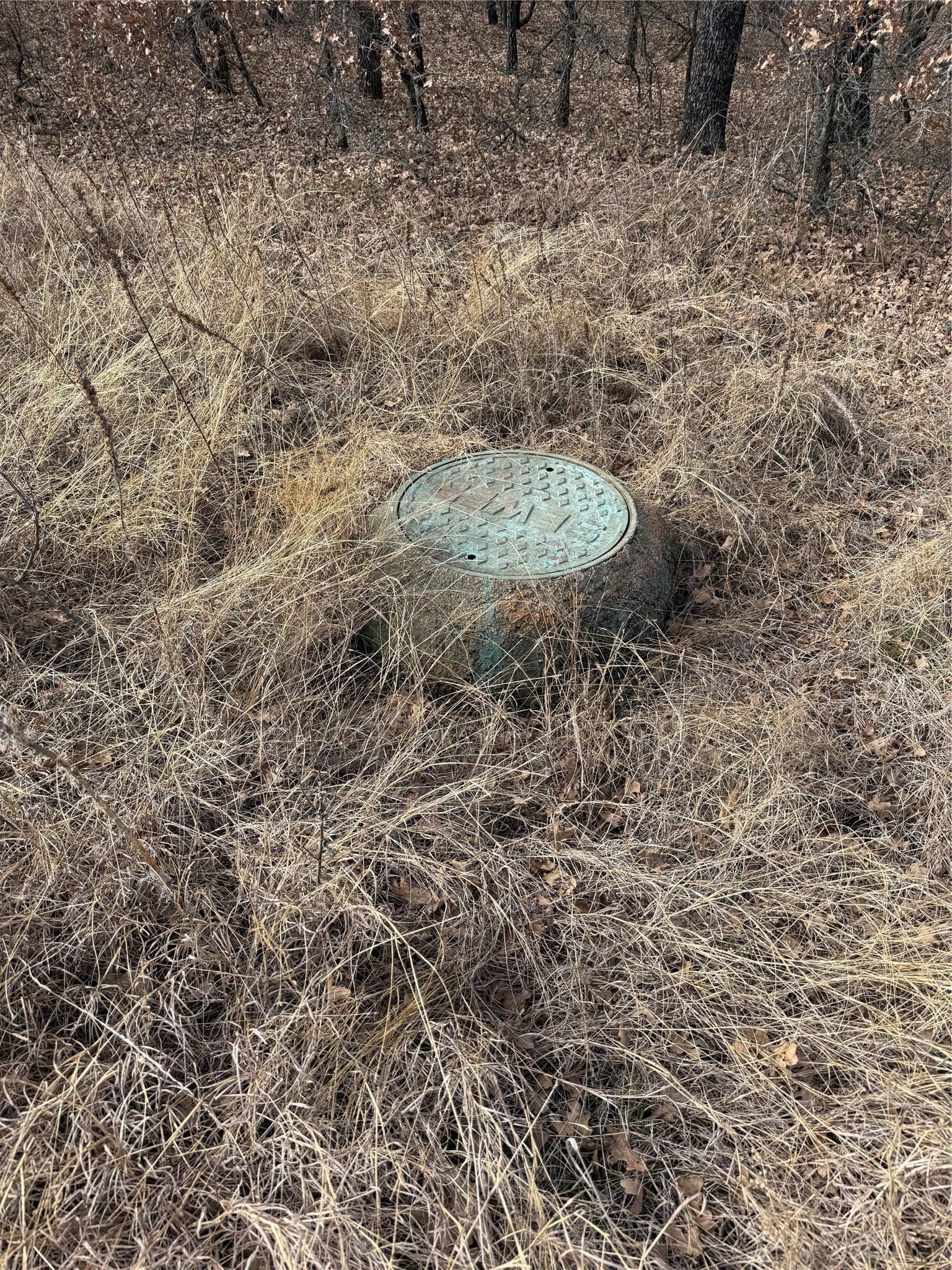 0.25 acres in Wise County - photo 8