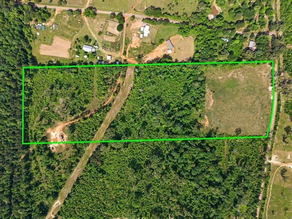 22.09 acres in Marion County gallery image 4