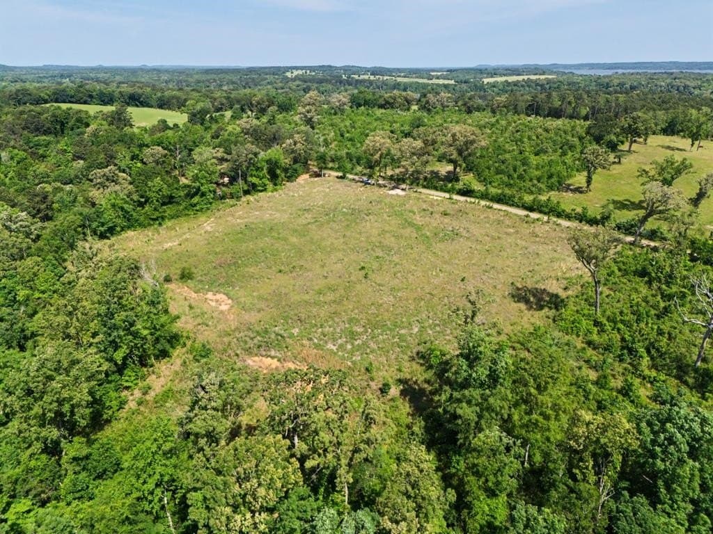 22.09 acres in Marion County gallery image 2