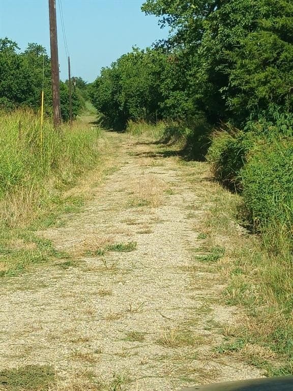 40 acres in Hunt County gallery image 3