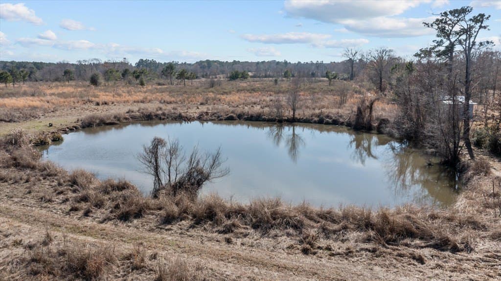 11 acres in Texas County - photo 9