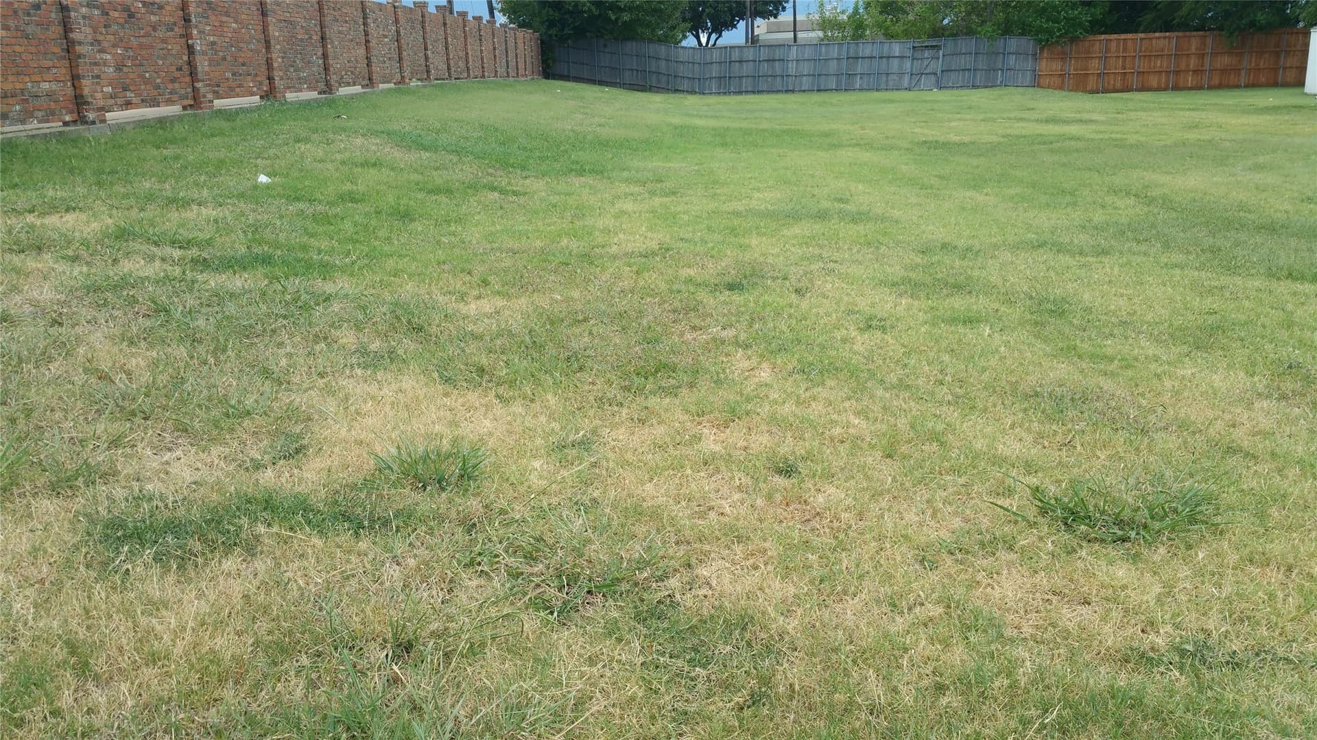 0.46 acres in Denton County gallery image 3