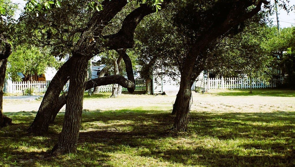0.33 acres in Texas County - photo 10