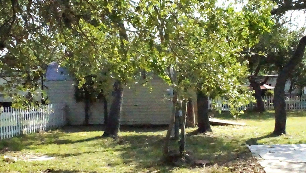 0.33 acres in Texas County - photo 16