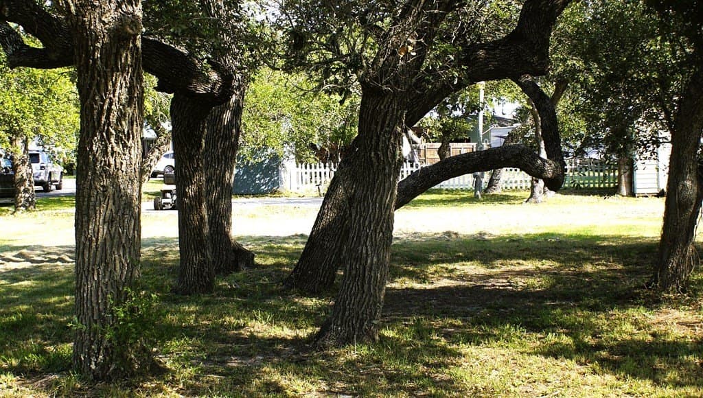0.33 acres in Texas County - photo 13