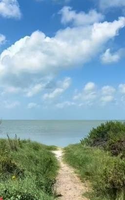 0.33 acres in Texas County - photo 3