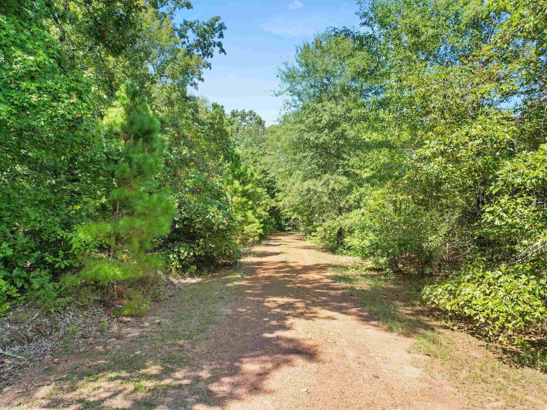 35.71 acres in Cass County - photo 46