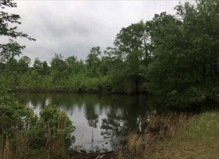 35.71 acres in Cass County - photo 48